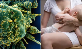 Ảnh minh họa: RT