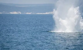 Nga cảnh báo thuỷ lôi Ukraine đứt dây neo, trôi dạt trên Biển Đen