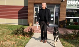 Ông Biden và chú chó cưng Major. Ảnh: AP