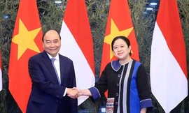 Chủ tịch nước: Quan hệ Việt Nam-Indonesia ngày càng phát triển mạnh mẽ