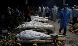 Thi thể các nạn nhân COVID-19 xếp hàng. Ảnh: Reuters