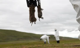 Ảnh minh hoạ: Reuters