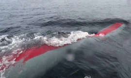 Hàn Quốc lên tiếng về 'vũ khí không người lái tấn công hạt nhân dưới nước' của Triều Tiên