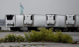 Các xe tải đông lạnh chở thi thể tập kết trên bến cảng Brooklyn (New York, Mỹ). 