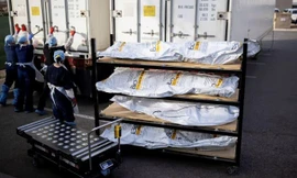 Ảnh minh họa: Reuters