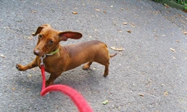 Ảnh minh họa: Getty