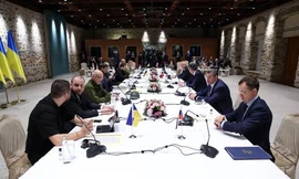 Nhà đàm phán Ukraine nói đàm phán với Nga có thể sẽ nối lại vào cuối tháng 8