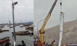 Tận thấy cá 'dự báo động đất' khổng lồ dài gần 5m