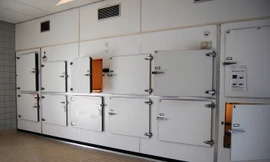 Ảnh minh họa: Wikipedia