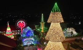 Cây thông ở Đồng Nai làm từ hơn 3.800 nón lá, hút hàng nghìn lượt khách mỗi tối