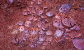 Những món trang sức bằng hổ phách đã giúp các nhà khoa học tìm ra vị trí của ngôi mộ - Ảnh: Đại học Bang Petrozavodsk