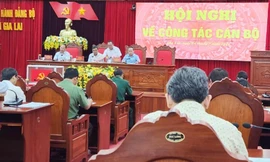 Thực hiện quy trình nhân sự chức danh Chủ tịch UBND tỉnh Gia Lai 