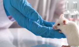 Ảnh minh hoạ: SCMP