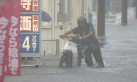 Ảnh minh hoạ: Reuters