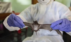 Ảnh minh họa: CGTN