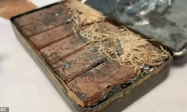 Những thanh sôcôla vẫn còn nguyên vẹn, chỉ bị phân hủy nhẹ. 