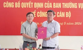 Điều động Phó Chủ nhiệm Ủy ban Kiểm tra Tỉnh ủy Đồng Tháp nhận nhiệm vụ mới