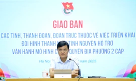 Tăng lực lượng tình nguyện hướng dẫn, hỗ trợ dịch vụ công trực tuyến tại nhà cho người dân