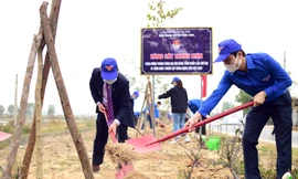 'Ngày thanh niên cùng hành động' thực hiện 1.500 công trình, phần việc