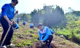 Toàn cảnh Lễ phát động Tết trồng cây Xuân Quý Mão 2023