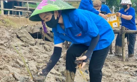 Thực hành '4T' giảm thiểu rác thải nhựa và cơ hội từ thị trường carbon