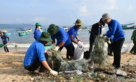 Thu gom rác thải, làm biển báo bảo vệ môi trường biển 
