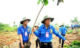 Đại hội có nhiều hoạt động an sinh xã hội, hướng về cộng đồng. (Trong ảnh, các đại biểu Đại hội thanh niên làm theo lời Bác lần thứ V tham gia trồng cây thực hiện công trình thanh niên) Ảnh: Xuân Tùng
