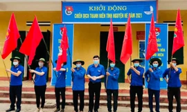 Sẽ trồng 50 nghìn cây xanh trong chiến dịch tình nguyện Hè 2021