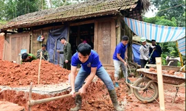 Thanh niên Tuyên Quang chung tay cùng hành động