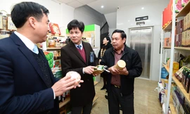 Giám đốc Trung tâm Xúc tiến Thương mại và Đầu tư tỉnh An Giang Lê Trung Hiếu, Giám đốc Trung tâm Hỗ trợ thanh niên khởi nghiệp Nguyễn Đức Tùng, Bí thư Tỉnh Đoàn Thái Bình Nguyễn Minh Hồng tham quan Điểm bán Xanh tại Hà Nội.