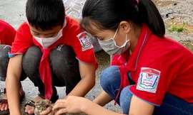 Đong cát vào chai dựng nhà vệ sinh