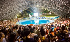 Miễn phí vé vào khu vui chơi, đảo Tuần Châu chật cứng người