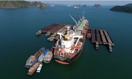 Quảng Ninh: Triệt phá băng nhóm 'làm luật' hàng tỉ đồng trên vùng biển Cẩm Phả