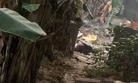 Phát hiện thi thể người đàn ông nghi bị giết rồi đốt xác trong thùng phuy