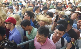 Vạn người chen lấn, xô đẩy xem chọi trâu Đồ Sơn