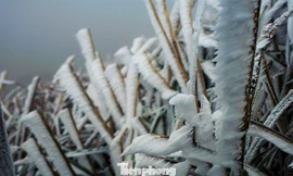 Mê mẩn ngắm cảnh băng tuyết phủ trắng Bình Liêu