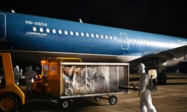 Bệnh nhân ở Quảng Ninh nhiễm COVID-19 từ nguồn nào?