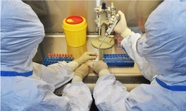 Quảng Ninh phát hiện thêm 10 ca nghi nhiễm COVID-19 trong cộng đồng