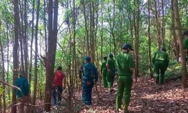 Hơn 200 chiến sỹ công an truy bắt nghi phạm khống chế nữ tài xế taxi