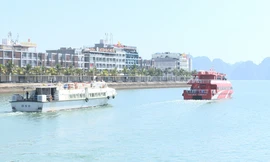 Miễn phí tàu cao tốc đưa 283 công dân ra đảo ăn Tết