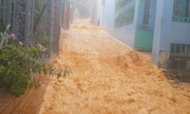 Dân khốn khổ, bất an vì 'lũ bùn' đổ xuống từ dự án Monaco