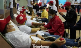 Tuổi trẻ ngành Than hiến máu cứu người