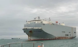 Toàn bộ thuyền viên tàu Tianjin Highway có kết quả xét nghiệm âm tính với SARS-CoV-2.