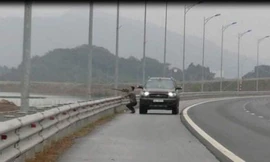 Hy hữu, dùng súng tự chế bắn chim trên đường cao tốc