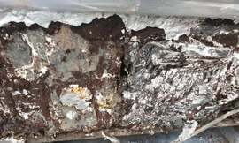 Phát hiện doanh nghiệp nhập lậu hàng chục tấn 'chất thải nguy hại' vào cảng Hải Phòng