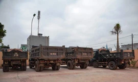 Bắt nhóm “đất tặc” lộng hành coi thường pháp luật ở Móng Cái