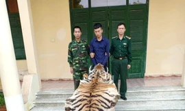 Nam thanh niên chở da và xương hổ vượt biên sang Trung Quốc