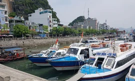 Vé tàu cao tốc Cô Tô liên tục tăng: Doanh nghiệp tự tung tự tác?