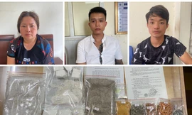 Bắt 'bà trùm' chuyên cung cấp ma túy cho quán bar, vũ trường