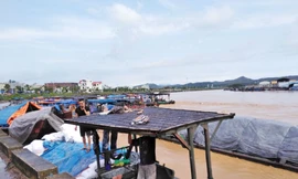 Mưa lớn ở Móng Cái, nhiều đò sắt bị nhấn chìm trong lũ